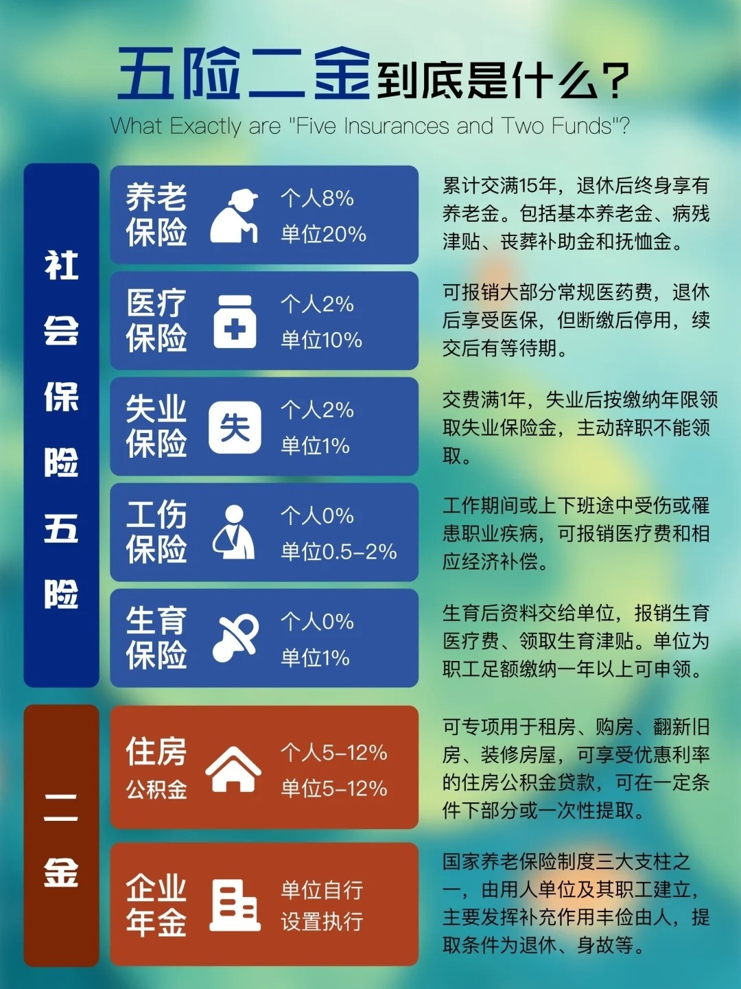 五险最新规定及其深远影响