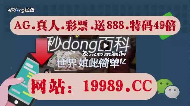 2024今晚新澳门开奖结果,现状解析说明_微型版46.65