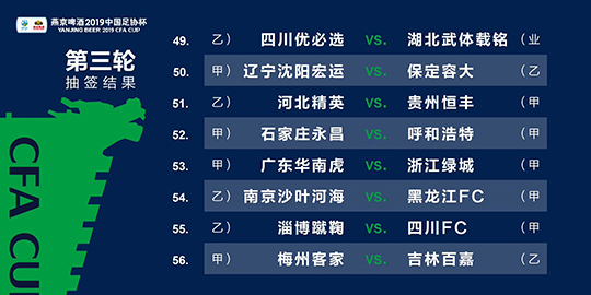 2024澳门今晚必开一肖,全面执行计划数据_安卓版18.11