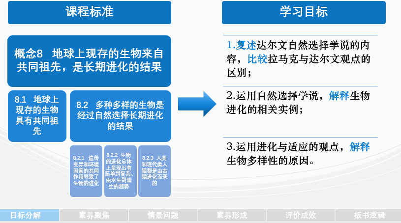 精准一肖一码一子一中,结构化评估推进_进阶版85.429