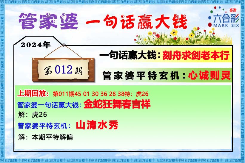 管家婆的资料一肖中特46期,全面解答解释落实_Q87.924