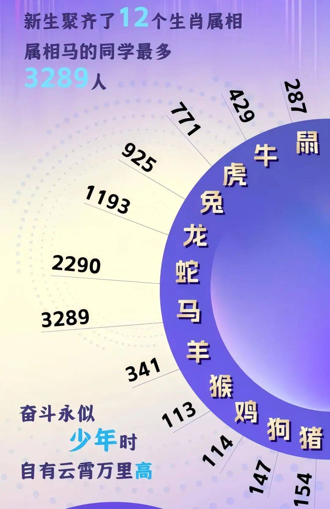 2024十二生肖49个码,灵活性执行计划_Harmony96.388