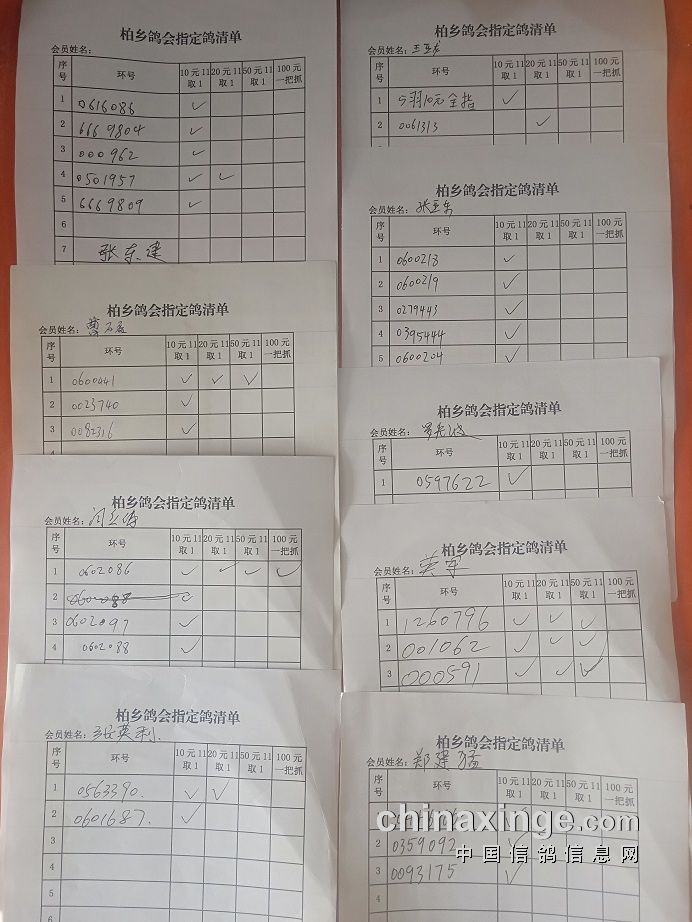 柏乡信鸽协会最新公告发布，内容摘要与活动更新