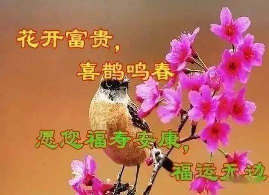 早上好图片与问候，美好交融的早晨祝福