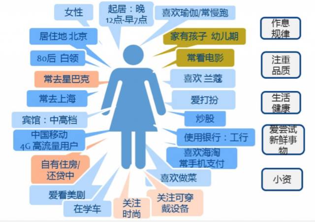 澳门管家婆一码一肖,定性分析解释定义_C版10.420