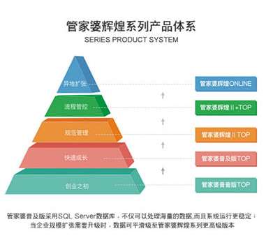 新澳门管家婆一句,专家意见解释定义_桌面款89.270