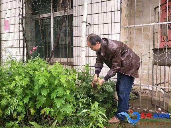 宿松论坛车祸最新消息报道