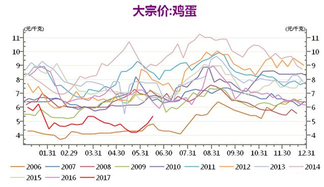 全国鸡蛋今日最新价格动态解析