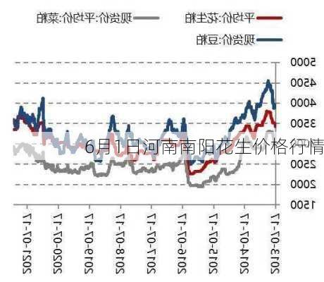 今日花生价格走势解析