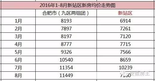 合肥新站区房价动态更新，趋势分析与市场深度洞察