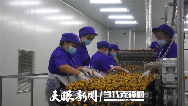 普定工业园区招工信息详解，最新岗位与解读