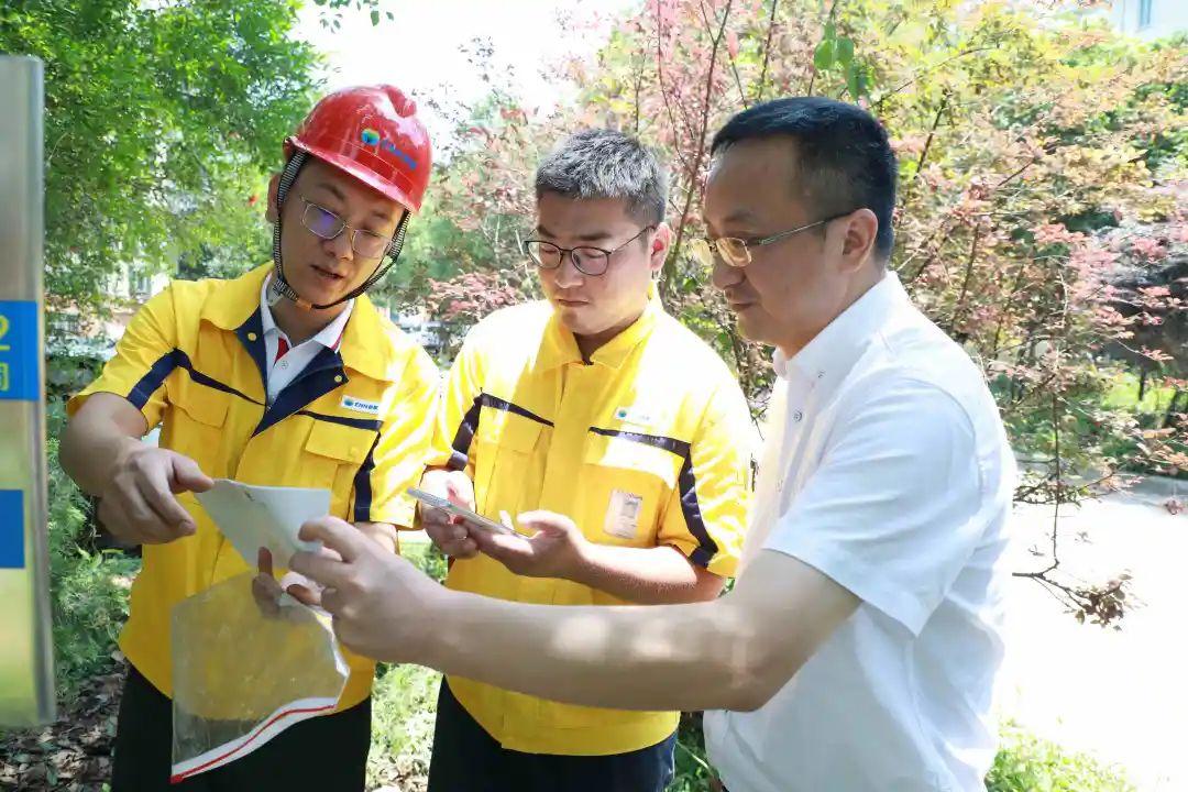 新奥资料免费精准,实地执行分析数据_网页款14.345