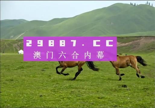 澳门最准确的跑狗图,实用性执行策略讲解_X90.741