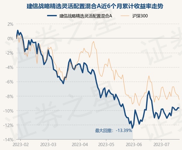 建信500基金最新净值深度分析与展望，未来展望与投资策略