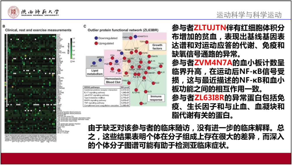 2024香港资料大全免费,决策资料解释定义_尊贵版29.287