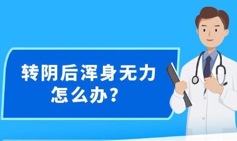 新澳精准资料免费提供221期,深入执行数据方案_Premium36.813