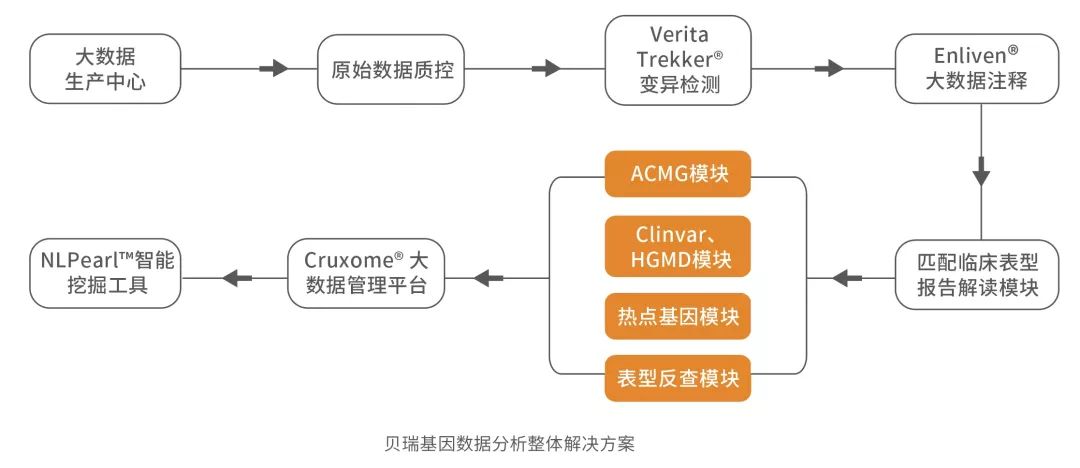 新奥门资料免费大全的特点和优势,精确数据解析说明_定制版8.214