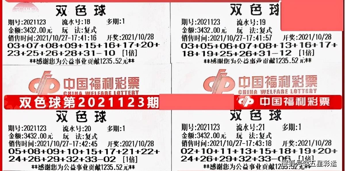 4949彩免费资料大全,快速方案执行_精装款31.763