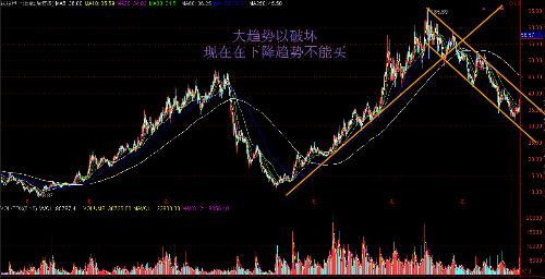 厦门法拉电子员工待遇及福利概览，最新解析与员工体验总结