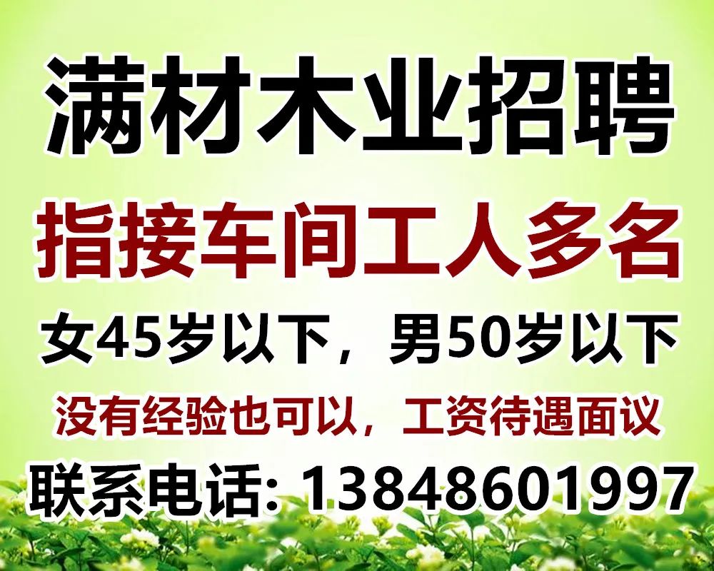 海宁木工招聘最新信息，职业发展的理想选择门户