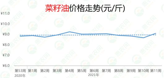 2024年12月4日 第2页