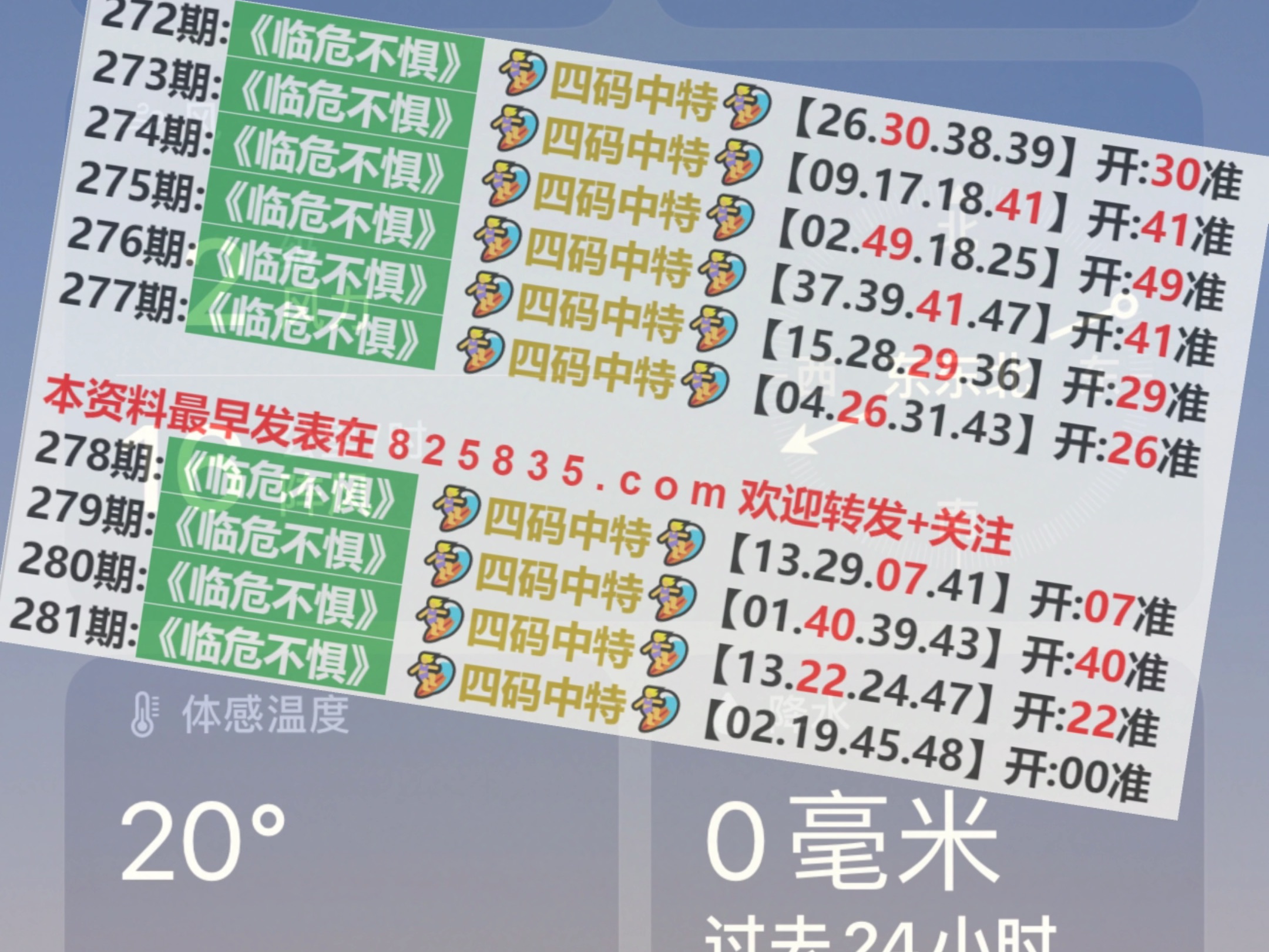 2024澳门天天开好彩大全蛊,数据导向实施_高级款44.932