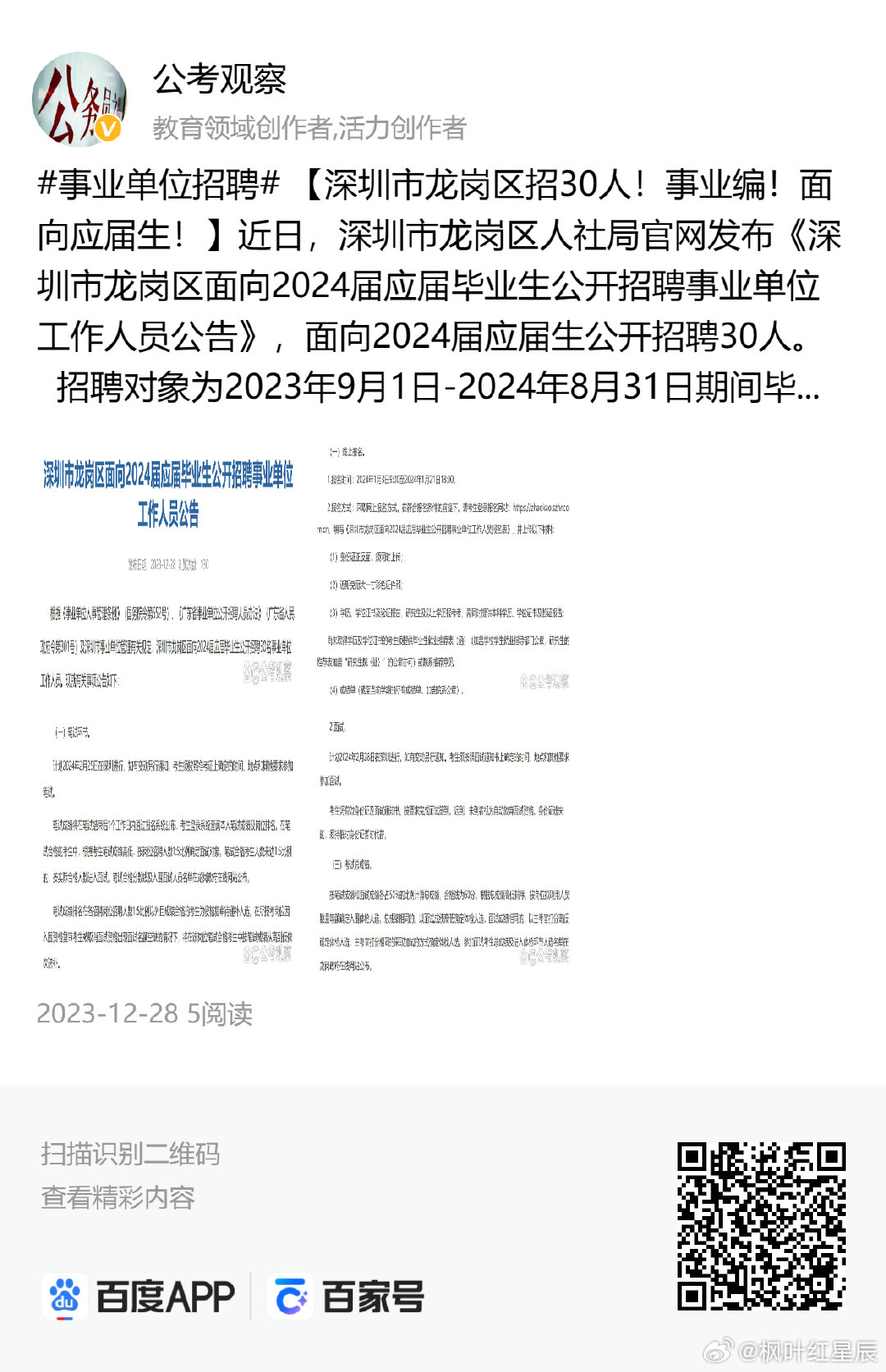 深圳龙岗招聘网最新招聘动态深度解析与解读