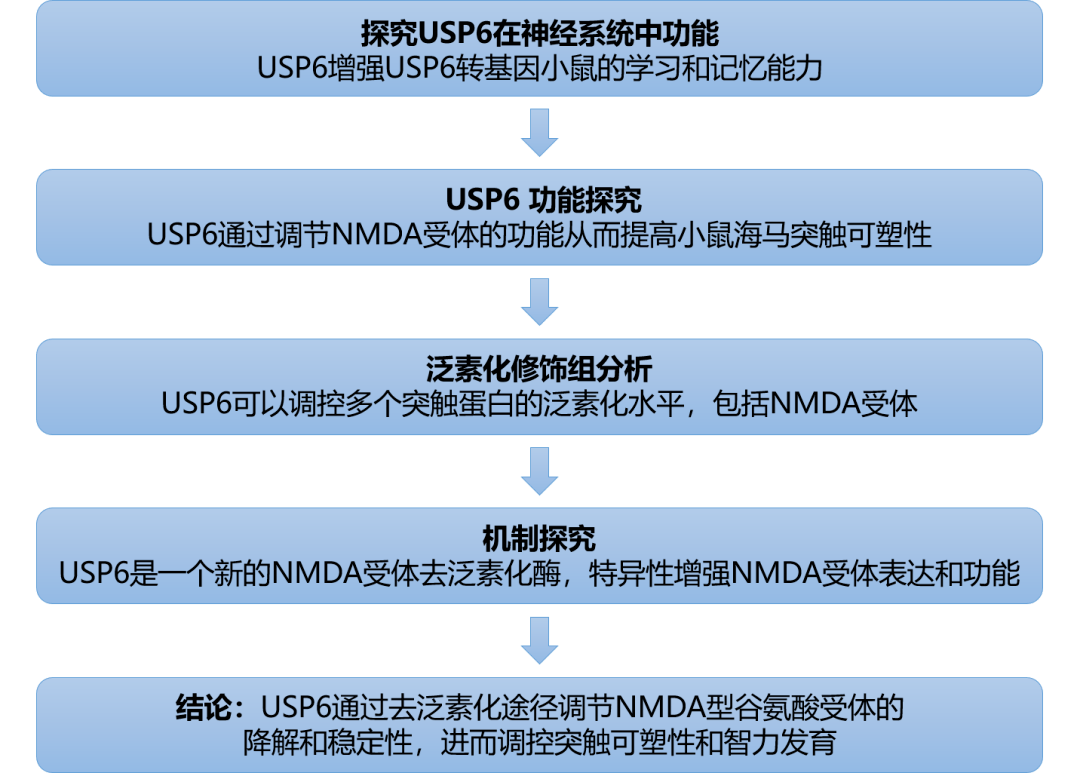 新澳正版免费资料大全,高度协调策略执行_2D60.493