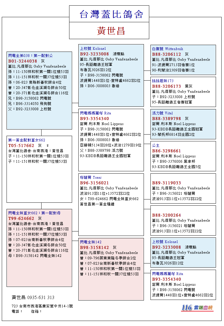 台鸽网一口价专区深度解析指南