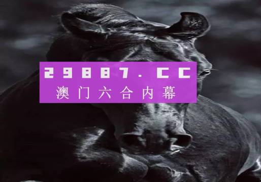 新澳门彩开奖结果2024开奖记录,实地分析解析说明_R版28.476