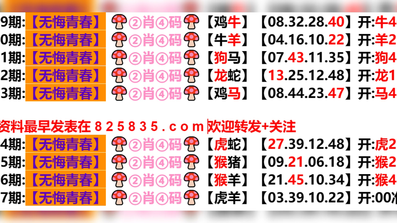 新奥门六开奖结果2024开奖记录,绝对经典解释落实_Android256.183