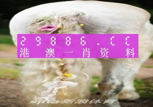 今晚必中一肖一码四不像,调整方案执行细节_AR版7.672