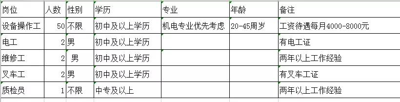 河口区小学招聘信息与动态概览