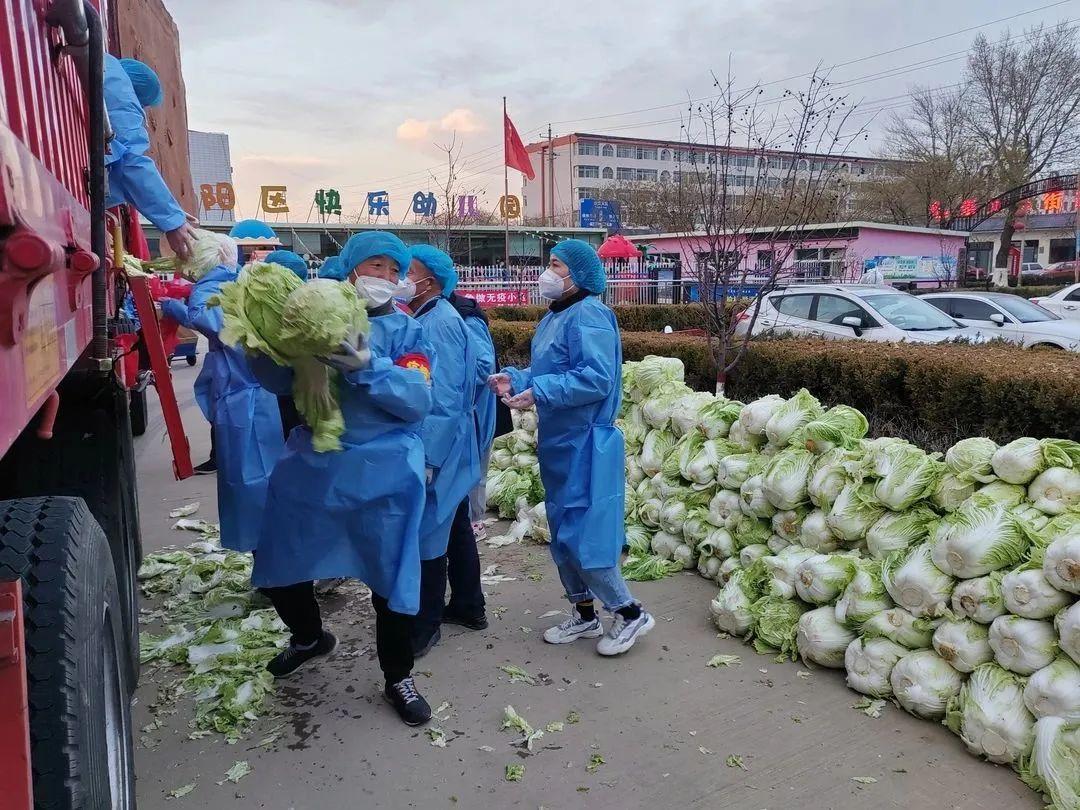 榆阳区防疫检疫站新任领导团队引领防疫新篇章，开启新征程