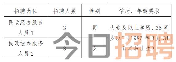 临翔区计生委最新招聘信息与招聘细节深度解析