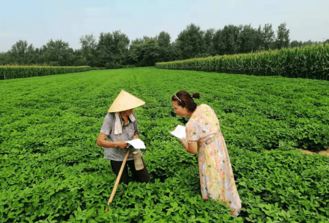 卧龙区农业农村局新项目推动农业现代化，乡村振兴再添动力