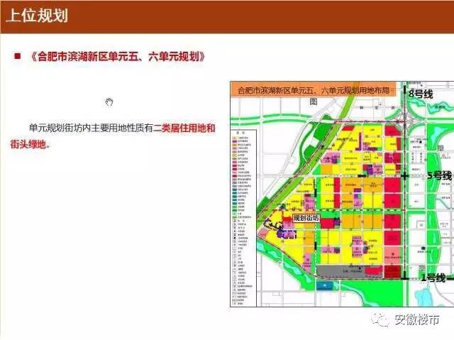 张湾区小学未来发展规划展望