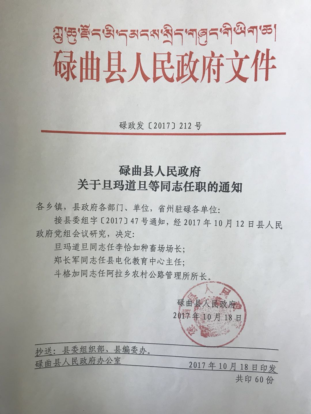 玛多县成人教育事业单位人事任命，推动县域教育发展新动力