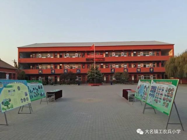 大名县小学教育创新步伐，探索最新项目的实践之旅