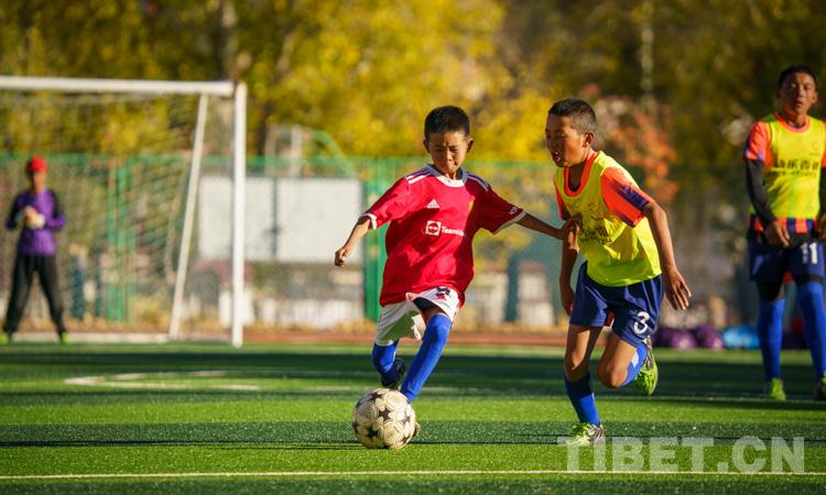 曲水县小学未来发展规划蓝图