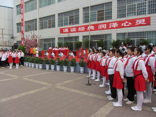 韩城市小学最新动态报道