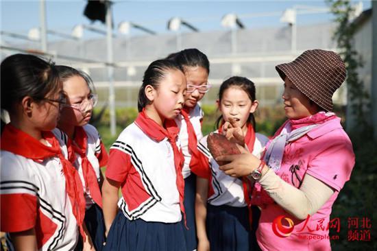 清苑县小学新项目建设，迈向现代化教育的新征程