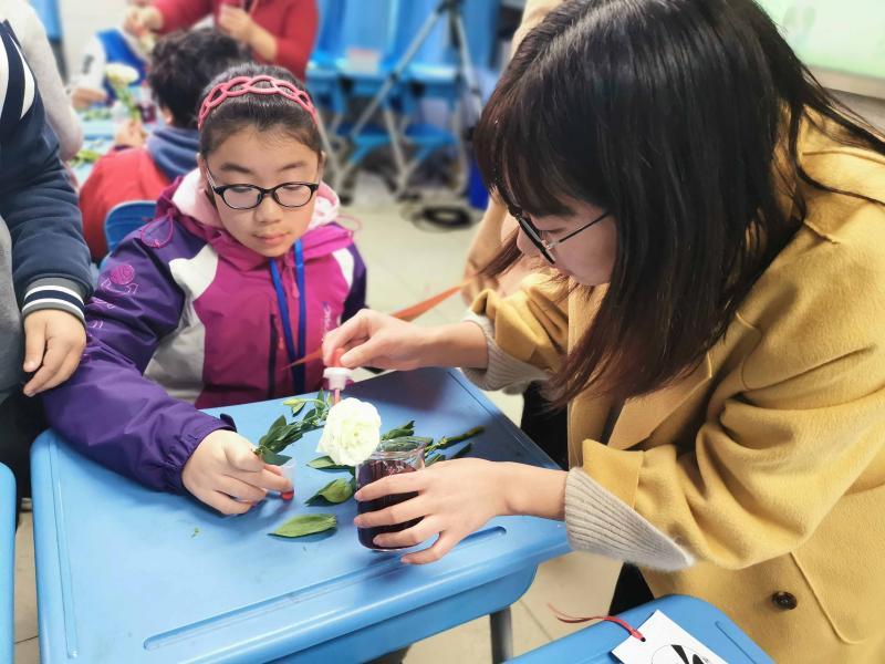 田林县初中最新动态报道