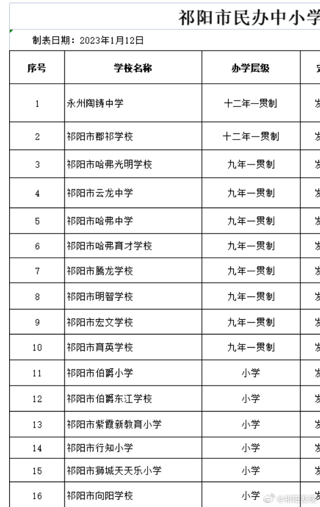 祁阳县小学未来发展规划展望