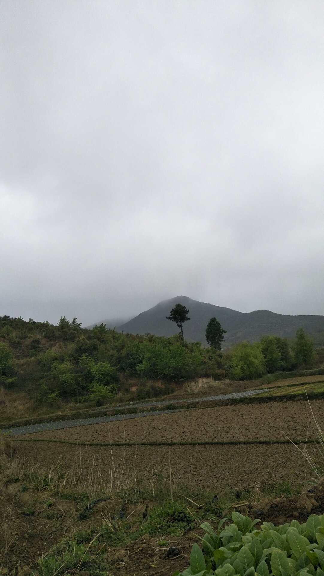 永丰乡天气预报更新通知