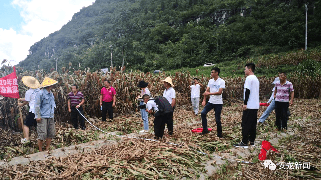 昂仁县农业农村局新项目推动农业现代化助力乡村振兴