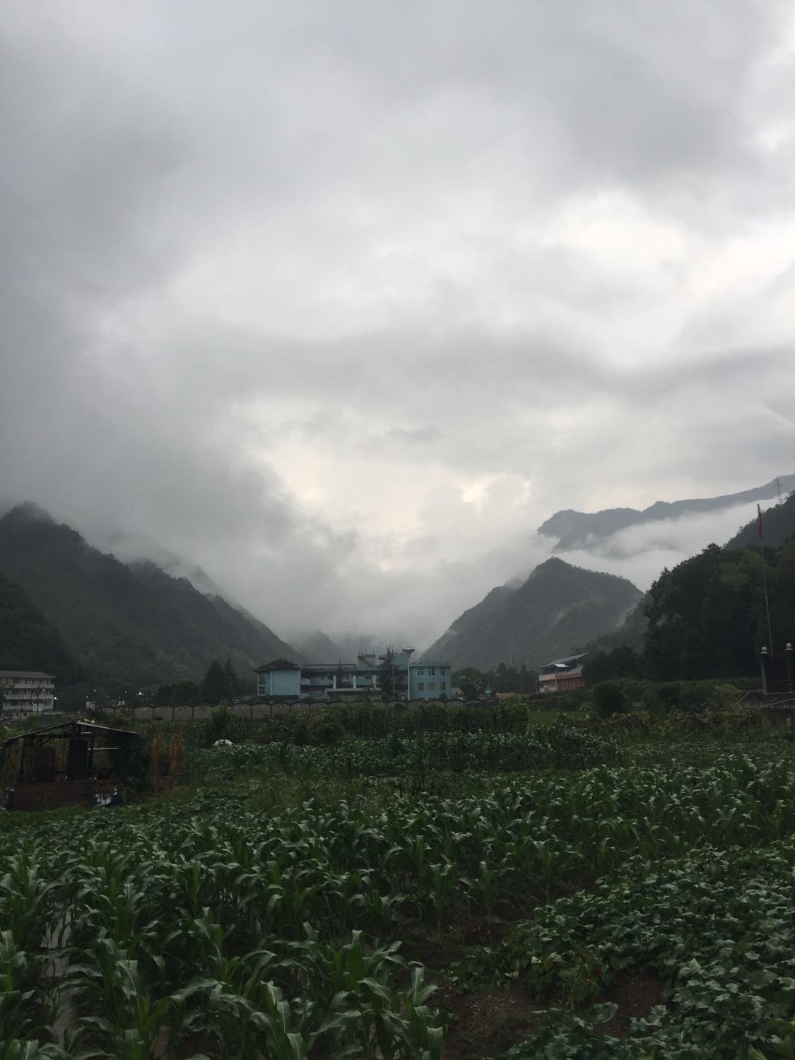 太源乡天气预报更新通知