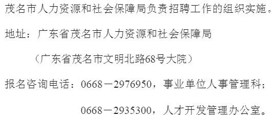 电白县财政局最新招聘信息解读与概览